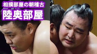 陸奥部屋の朝稽古