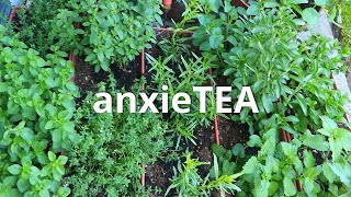 homemade herbal tea for anxiety relief