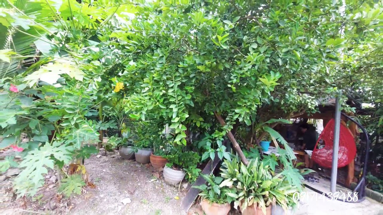 HOUSE TOURPREOWNED BUNGALOW HOUSE AND LOT FOR SALE IN TAYTAY RIZAL