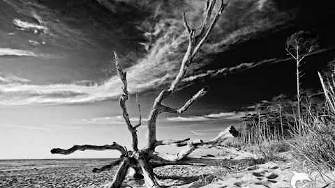 Peter Gabriel-San Jacinto-(Remaste...