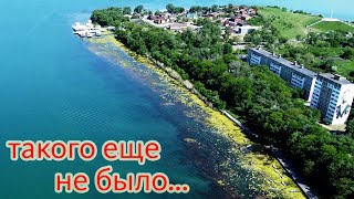 Новотроицкое водохранилище ЗАРОСЛО водорослями! Пляжи, набережная в Солнечнодольске