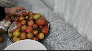 Vlog Köyde Huzurlu Bir Sonbahar Günü... -1