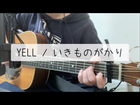 YELL / いきものがかり 弾き語り key -4 (short ver.) 【covered by むぎお】
