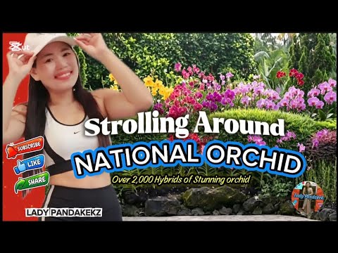 STROLLING AROUND NATIONAL ORCHID SINGAPORE | LADY PANDAKEKZ #subscribe #video