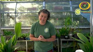 Chemical Elements Wild Elements