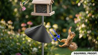 Squirrels Won't Stand A Chance With This Baffle!