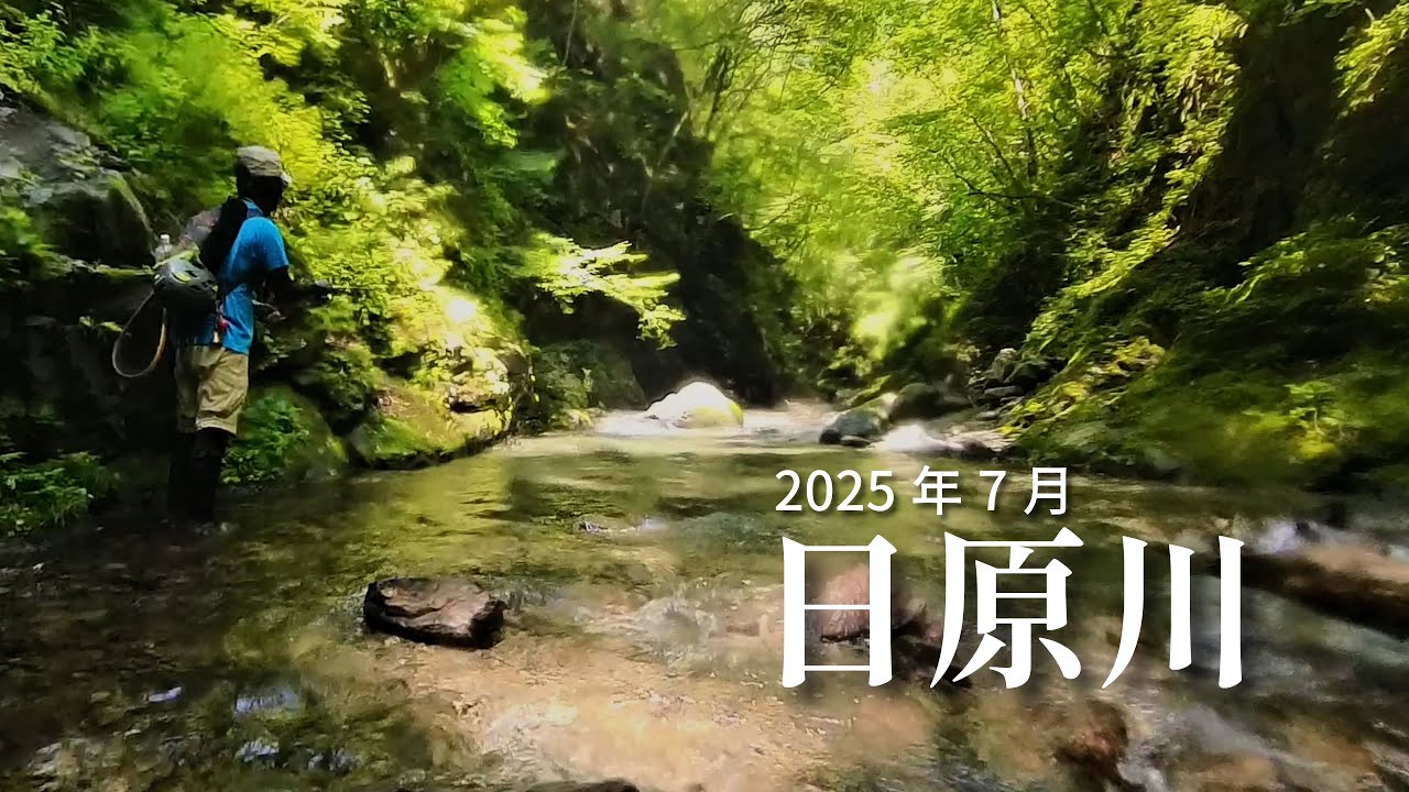 連休後の日原渓流 天気が崩れそうだから迷わず撤退する。【2025年7月 日原川】