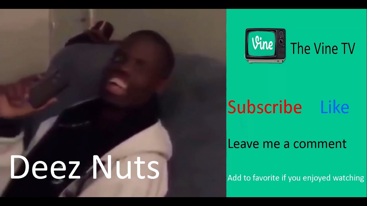 Deez Nuts Vine Compilation Deez Nuts Got Em Vines YouTube