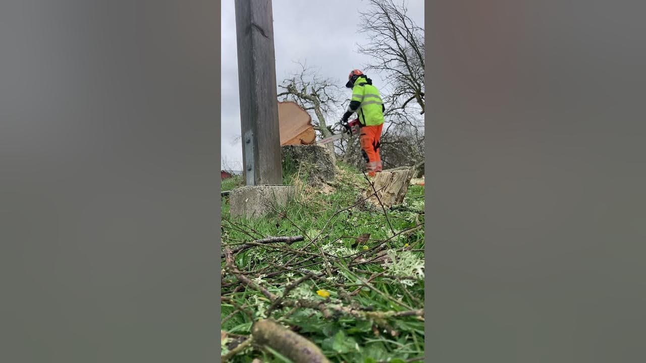 Dusting the cobwebs off my early Stihl 064 YouTube