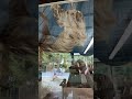 Slow Muchers - Sloth Exhibit - Gulf Breeze Zoo - Navarre FL