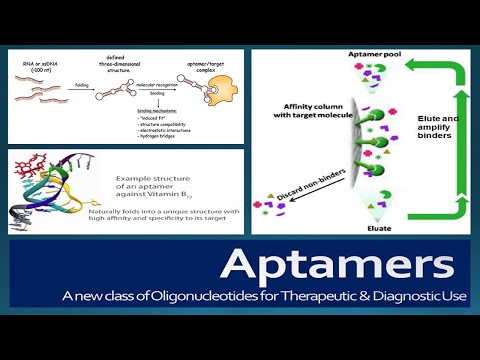 Video: „Aptamer“sumuštinių Tipo Biojutikliai