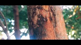 Cinematic B-Roll With A Smartphone