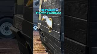 A Frozen Morning Routine🥶❄️ #animalshorts #morningroutine #cuteanimals #funnyanimals #animallovers