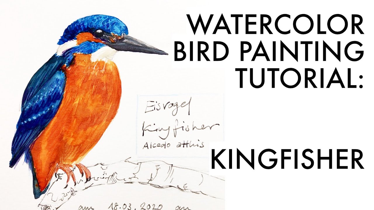 Sketching a kingfisher | bird painting tutorial