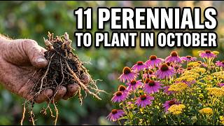 Why October Is STILL The Secret To A Massive Spring Garden (11 Perennials)