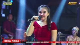 SAPI LANANG // CITRA NADA LIVE DESA SIANDONG // LARANGAN - BREBES