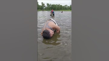 Nơm cá lóc khủng #nomca #fishing