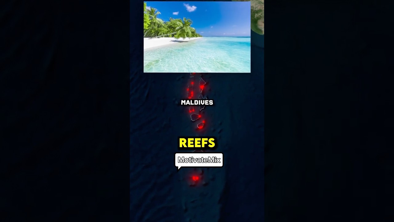 Which country has the best beaches in the world? 