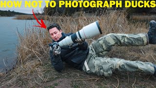 Sometimes things go wrong in wildlife photography: Or maybe it's just me