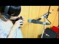 エトピリカ(オカリナ演奏)