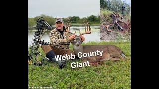 Bowhunting Webb County, Texas - Part 1  #bowhunting #mathewsarchery