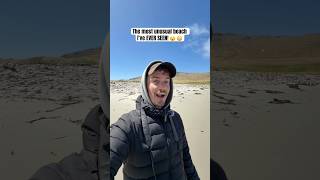 Complete SHOCK at what I’m seeing on this beach 😮😍