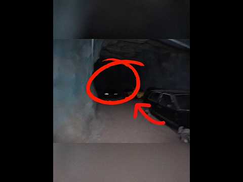 Craziest Abandoned Car