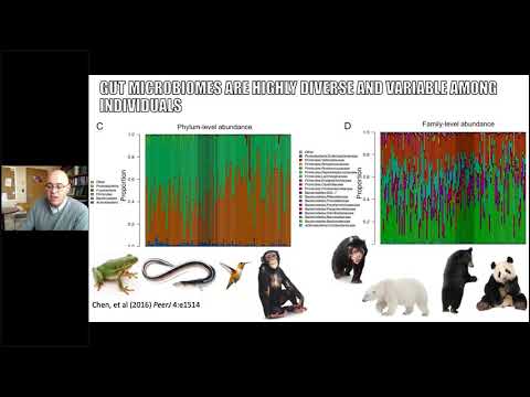 IAFNS: Fiber and the Gut Microbiome with Dr. Stephen Lindemann