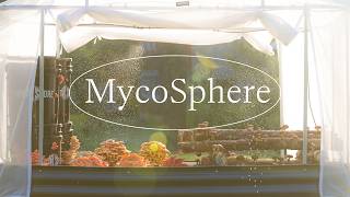 Introducing The Mycosphere The First Garden Bed Designed For Mushrooms And More