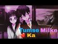 Tumse Milke Dilka Jo Haal Amv Hindi Amv The Uncaged