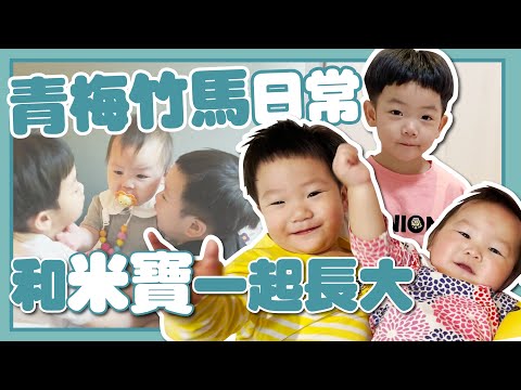 【蔡波能成長日記#29】和米寶一起長大，青梅竹馬平常都在幹嘛？