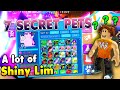 My Whole Pet Inventory in Roblox Bubble Gum Simulator