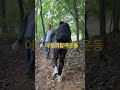 아빠는 오늘도 운동화를 신는다.몸이 무겁고, 마음이 지쳐도운동은 근육만 키우는 게 아니었다.서로의 마음을 단단하게 묶어주는 시간이 됐다.아빠는 아들에게 체력을,아들은 아빠에게 용기