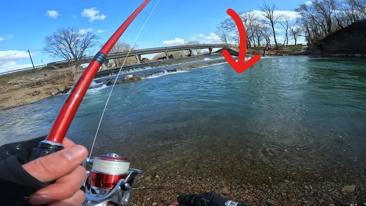 Cold Water Bass Fishing in MARCH from the BANK