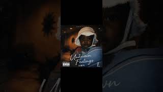 Unknown Feelings  Ldany  