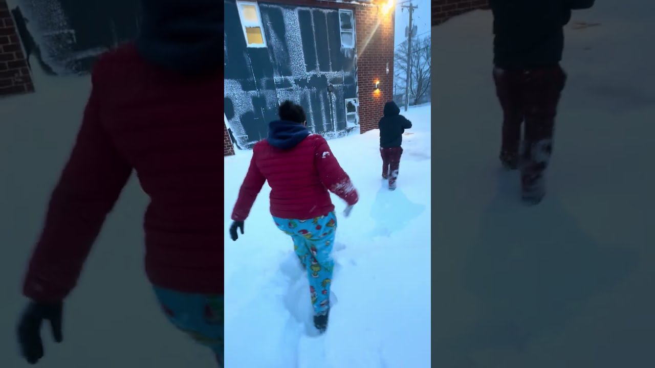 #rhodeisland #seguimi #dogshorts #snow 