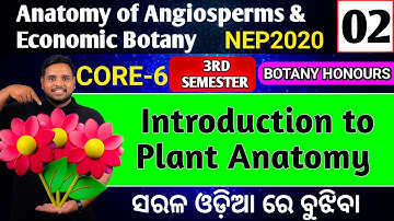 🤓Introduction to plant anatomy|botany honours core6|Botany honours core-6|plant anatomy bsc botany