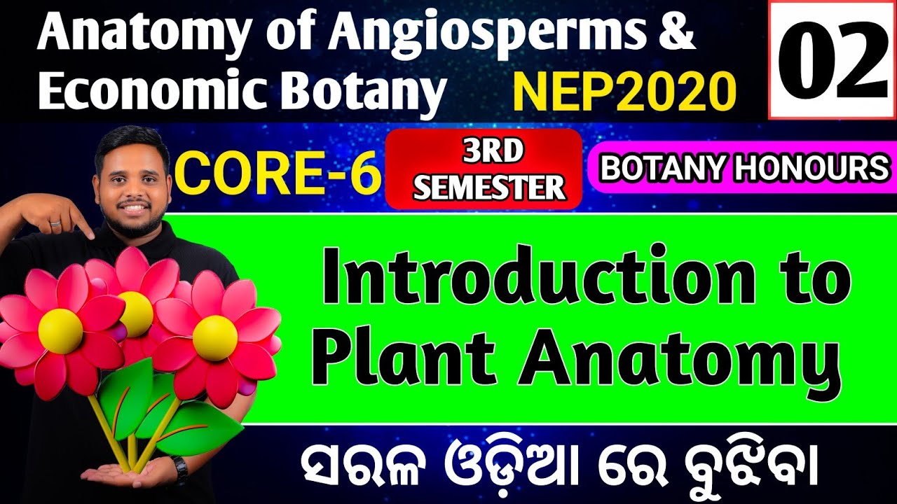 🤓Introduction to plant anatomy|botany honours core6|Botany honours core-6|plant anatomy bsc botany