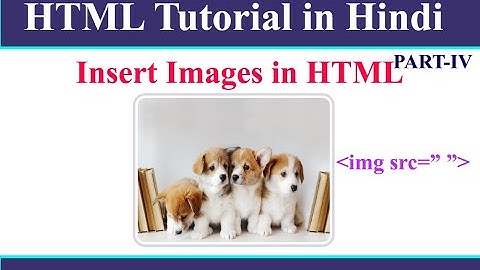 How to Insert Image in HTML | HTML Tutorial In Hindi
