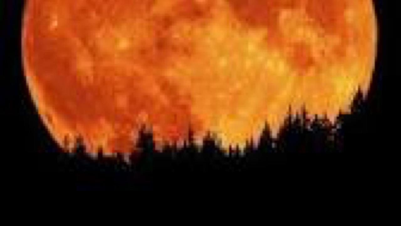 Warface "Grindn Mega Vip"