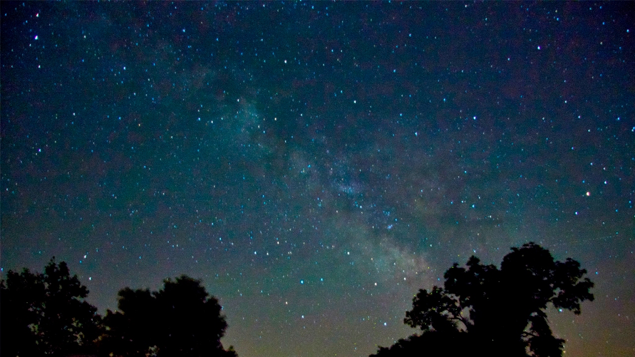 picassolama Live Stream