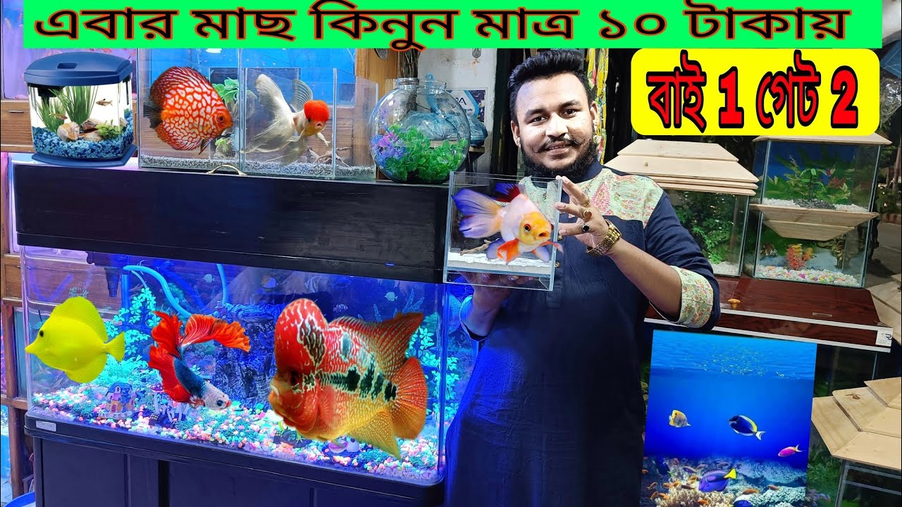 Aquarium Fish Price In katabon 2024| Aquarium Fish Price | Aquarium | AR Rahman aquarium