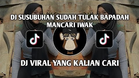 DJ SUSUBUHAN SUDAH TULAK BAPADAH MANCARI IWAK - DJ MAWARUNG REMIX MENGKANE VIRAL TIKTOK 2024 !!