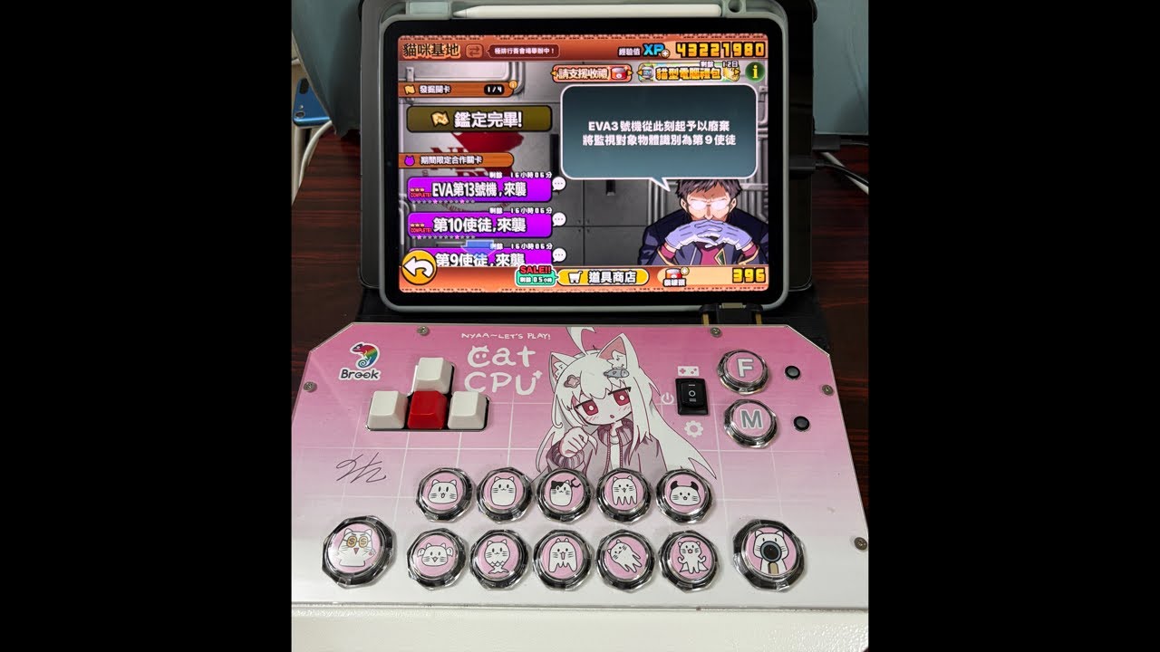 【Richard愛貓戰】貓咪大戰爭 下班打貓戰