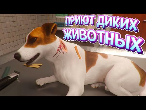 Видео: ПРИЮТ ДИКИХ ЖИВОТНЫХ ( Animal Shelter )