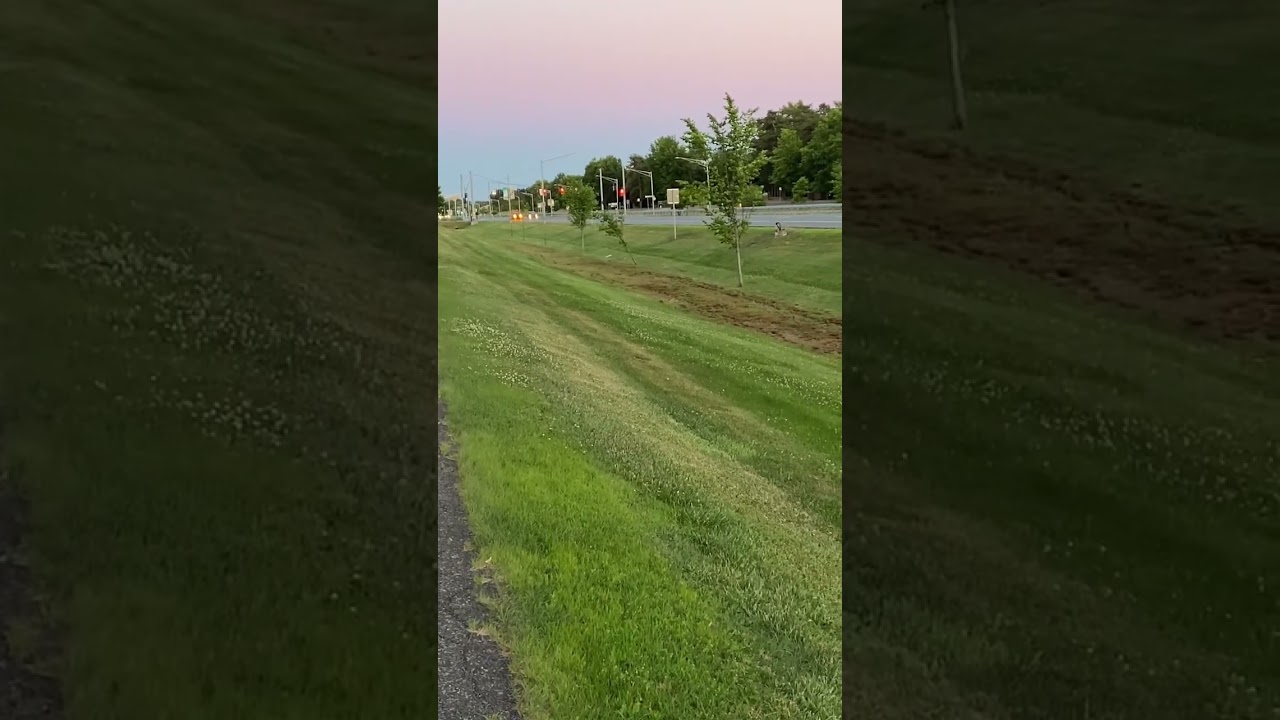 2006 Pontiac GTO 6 speed vs 2020 challenger 6.4 scat pack 6 speed