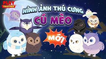 PLAY TOGETHER VNG | HÌNH ẢNH CỦA 15 LOẠI THÚ CƯNG CÚ MÈO TRONG HỘP BỐC THĂM MỚI