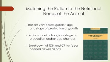 Balancing Rations for Beef Cattle