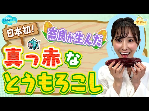 【日本初】奈良が生んだ赤いとうもろこし ／とれたてFISHING