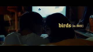 DISH// - birds (in 2022) [Official Video]